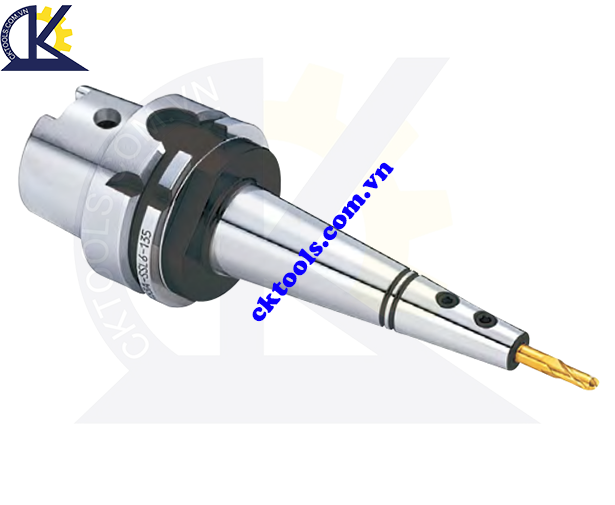 Đầu kẹp dao  BIG DAISHOWA   HSK-A100-SSL8-150 , -SSL10-150 , -SSL12-150 , -200 , -SSL16-150 , -200 , -SSL20-150, MOLD CHUCK  HSK-A100-SSL8-150 , -SSL10-150 , -SSL12-150 , -200 , -SSL16-150 