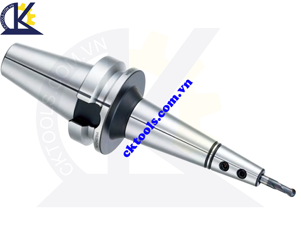 Đầu kẹp dao BIG DAISHOWA BBT40-SSL3-135, Holder BIG DASHOWA BBT40-SSL3-135 , MOLD CHUCK  BBT40-SSL3-135